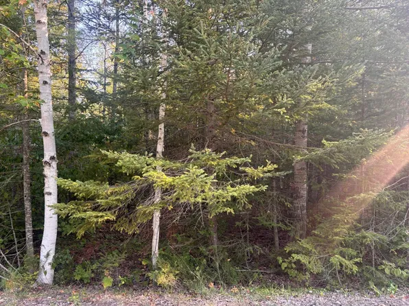 LOT 202 Sunaqua Dr, Presque Isle, MI 49777