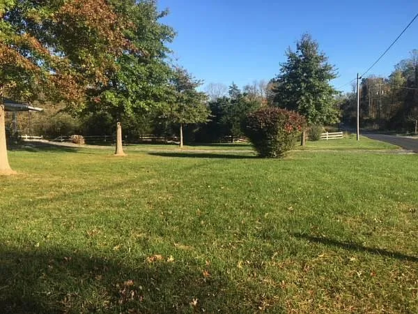 Front yard-street