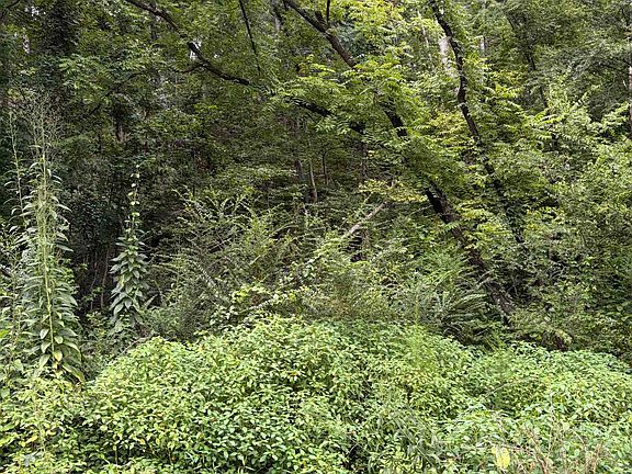 2nd image of 40 Edmonds Hollow Rd