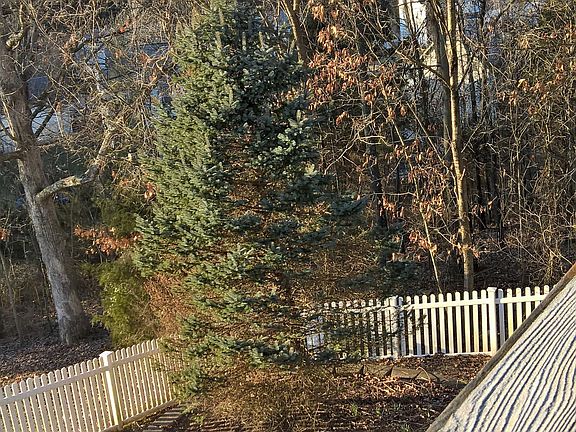 Golf course over there