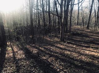 0 Robinson Gap Rd LOT 5, Bryson City, NC 28713