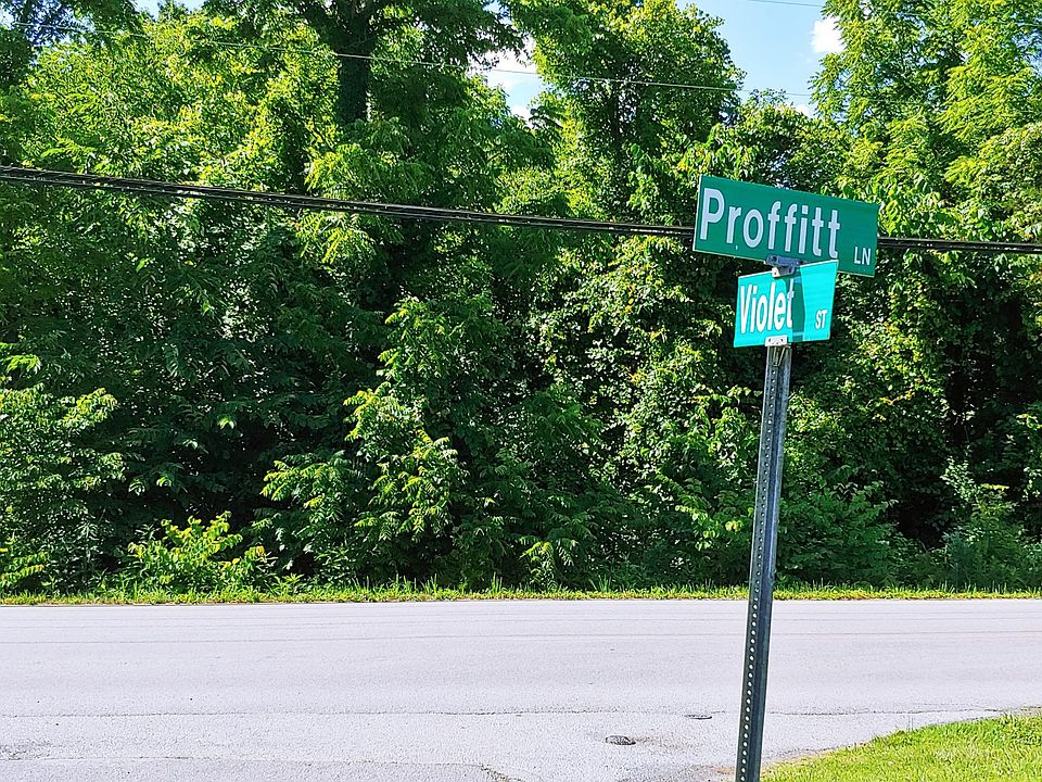 2nd image of Proffitt Ln