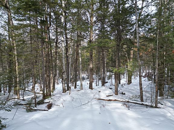 5th image of 12 Falcon Ridge