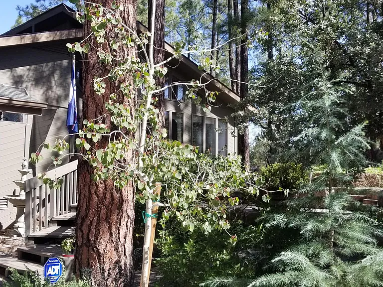 Kaibab Loop — Photo 29
