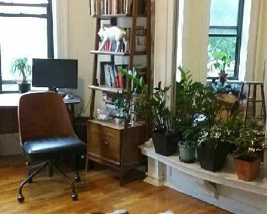 5th image of 230 Saint James Pl APT 2A