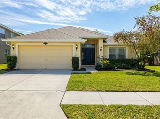 20225 Natures Spirit Dr, Tampa, FL 33647