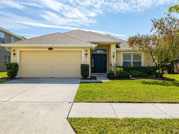 20225 Natures Spirit Dr, Tampa, FL 33647