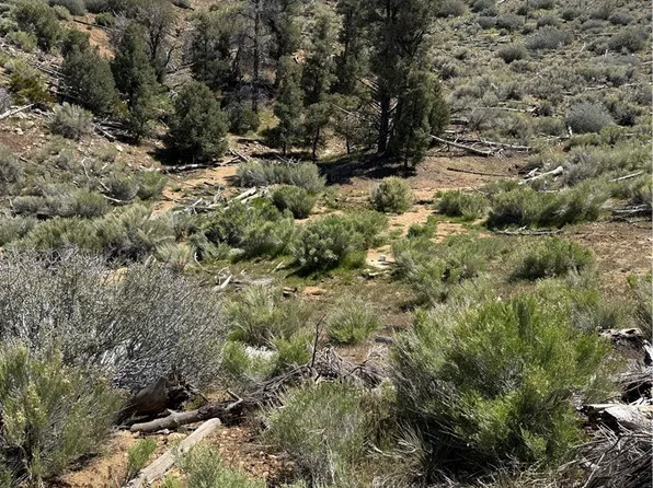 310-040 Pine Creek Valley Rd #17, Inyokern, CA 93527