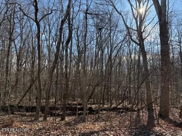 113 Overlook Cv, Crossville, TN 38558