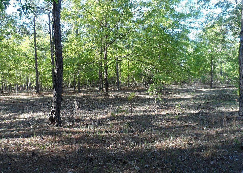 2nd image of 1107 Hidden Oak Dr