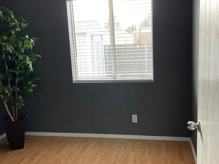 4517 Katie Cir E — Photo 10