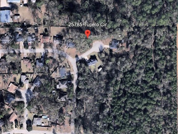 4th image of 25785 Tupelo Cir