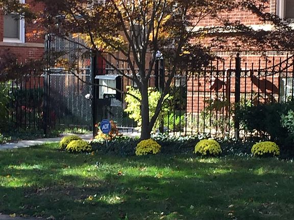 Fall planting