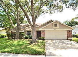 1312 Monte Lake Dr, Valrico, FL 33596