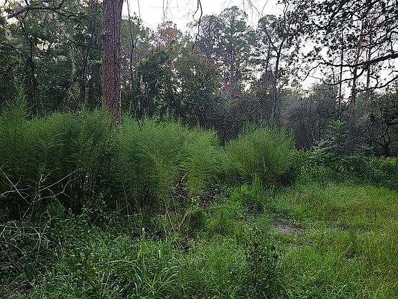 3rd image of 373 Carl Burney Rd