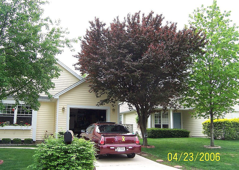 new siding