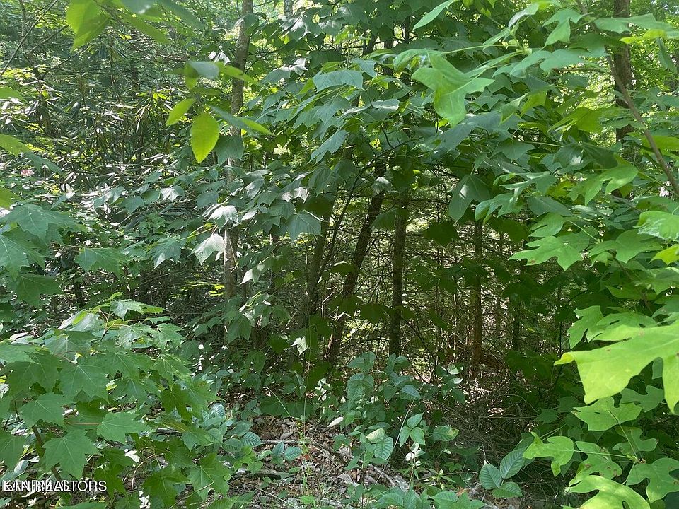 2nd image of LOT 71 Hazelnut Ln