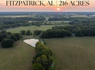 15246 Highway 110, Fitzpatrick, AL 36029