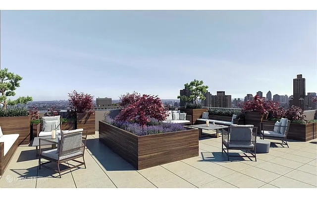 Rented by Douglas Elliman | media 17