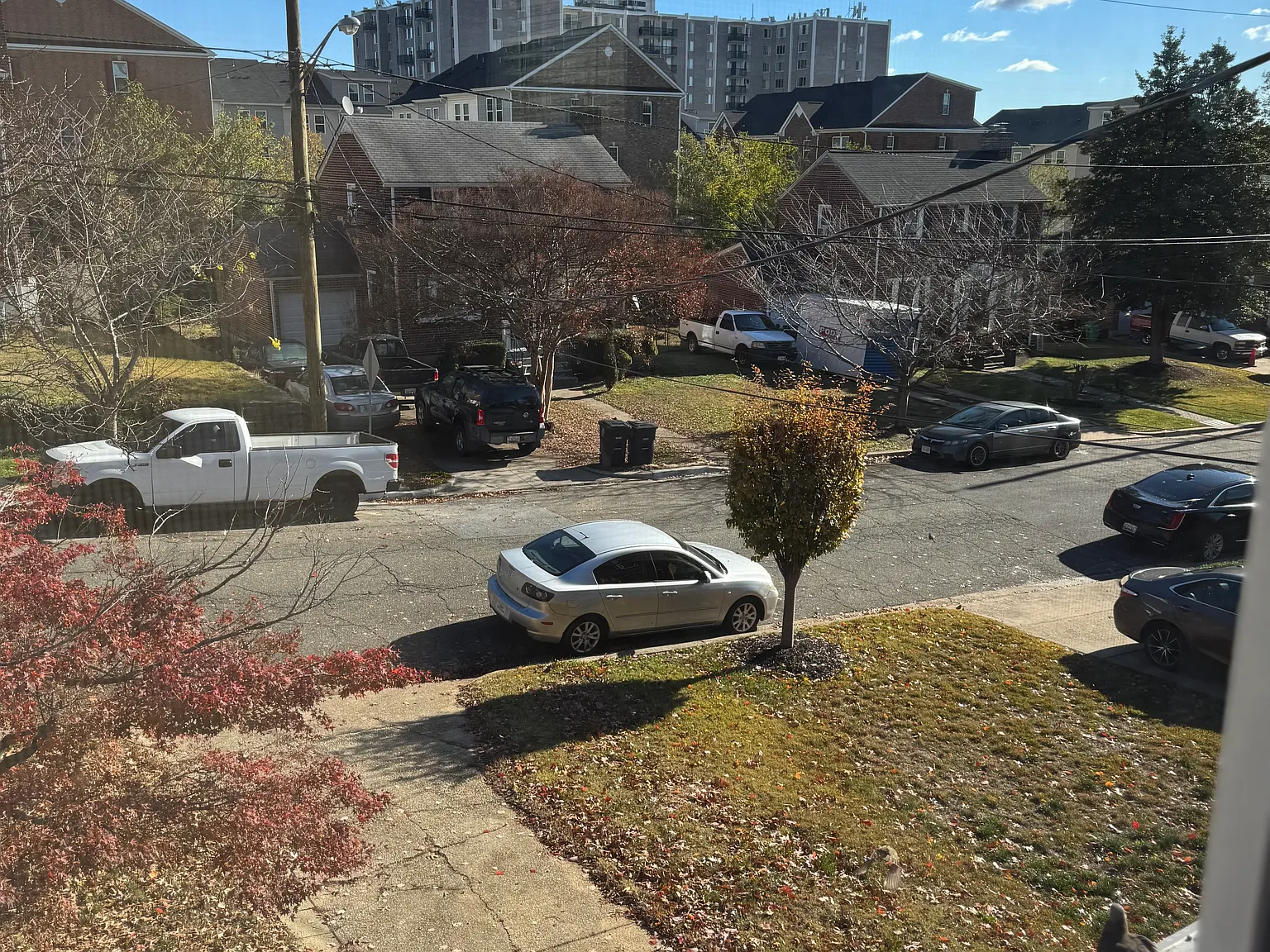 3 bed, 1550 sqft, $3,200 — Photo 3