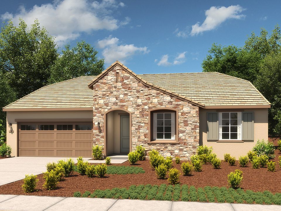 Begonia French Cottage B