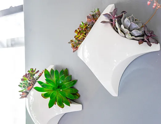 Rented by Compass | media 32