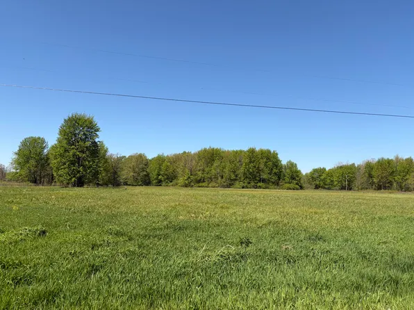 0 40th St Parcel B, Paw Paw, MI 49079