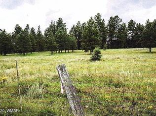 4 County Road 2130, Nutrioso, AZ 85932