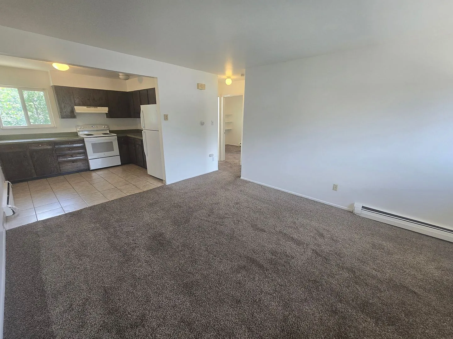 321 Bonnie Court — Photo 4