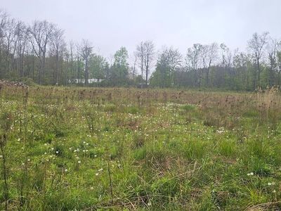 Rotterdam Rd, Sodus, NY, 14551