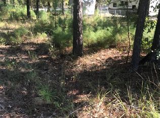 Monte Carlo Rd, Pointblank, TX 77364