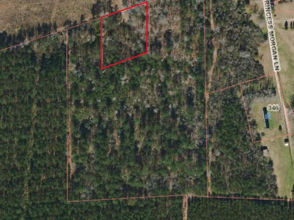 2nd image of 11.5 Acres Ernest Valeria Lane