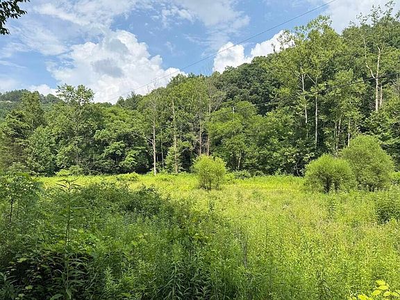 5th image of 0 Myers Fork Rd
