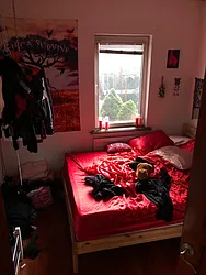 Rented by Dolores Buonocore, LREB