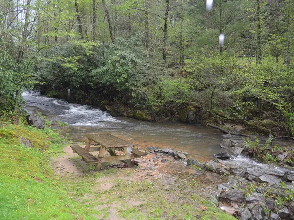 7717 Doublehead Gap Rd, Blue Ridge, GA 30513
