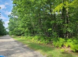 V/l Wolverine Trl, Gaylord, MI 49735