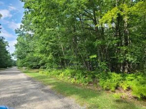 V/l Wolverine Trl, Gaylord, MI 49735