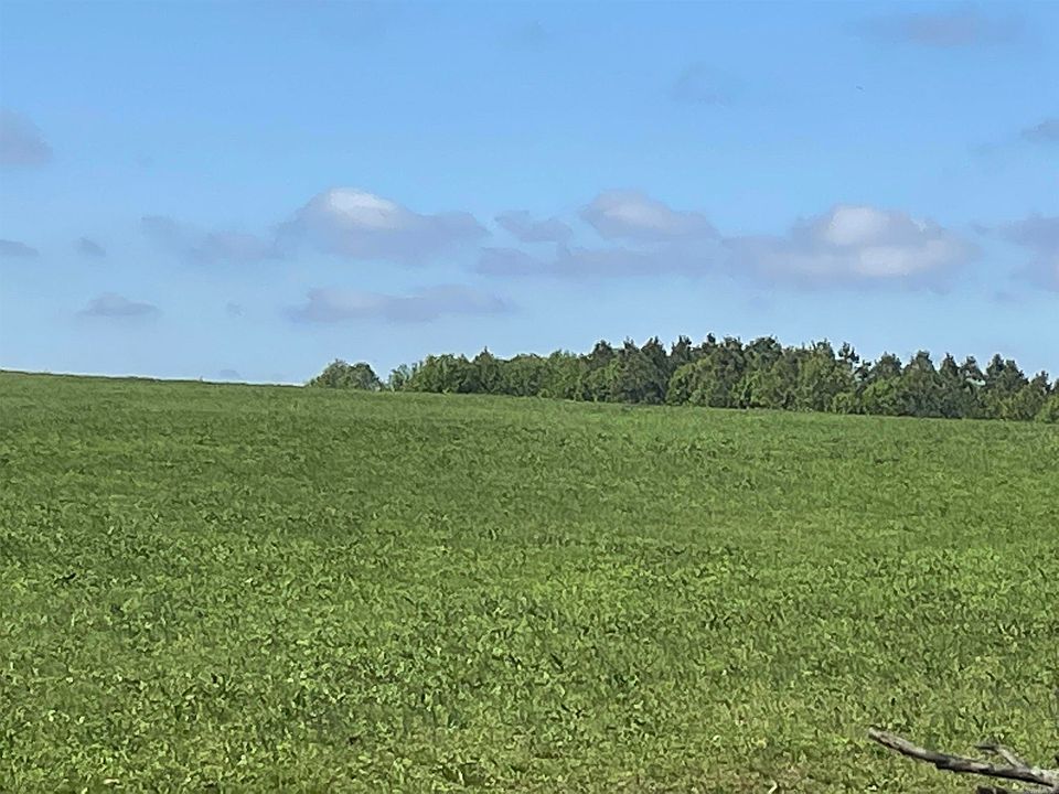 2nd image of LOT 24 Griffin Farm Rd