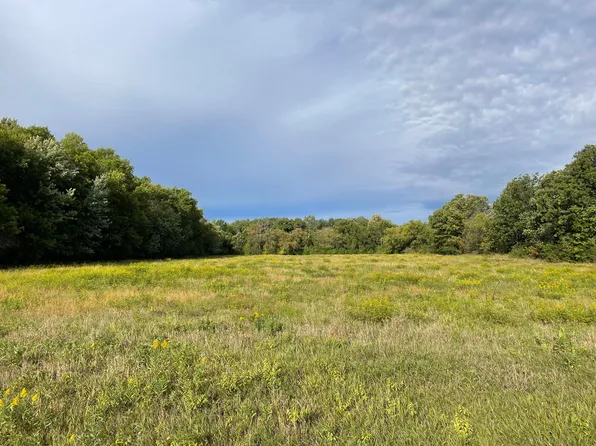 140th Ave, Foreston, MN 56330