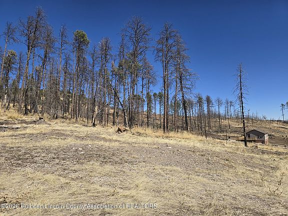 4th image of 116 Sonora Loop