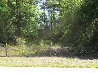 (Undisclosed Address), San Antonio, FL, 33576