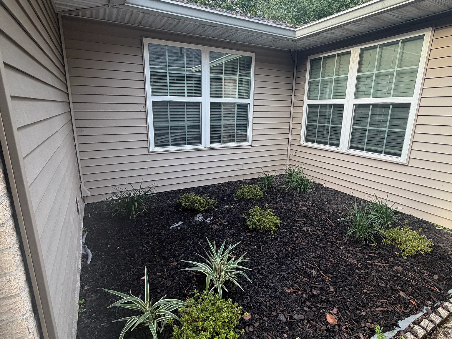 3 bed, 1660 sqft, $2,000 — Photo 4