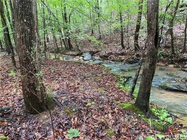 0 Far-A-Way Road, Elberton, GA 30635