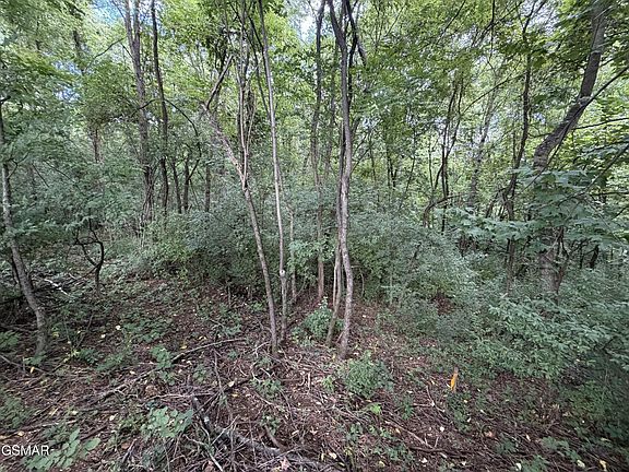3rd image of 16 Sunrise Blvd Lot 16