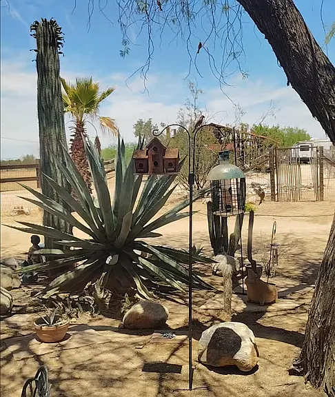 36991 S Estancia Dr — Photo 2