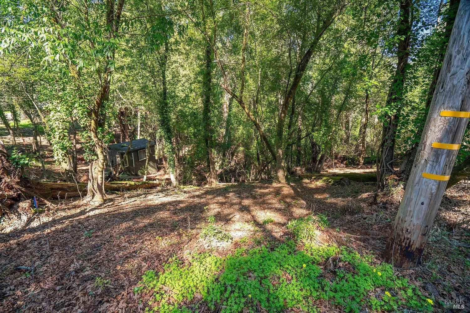 10612 Canyon Road - Photo 5