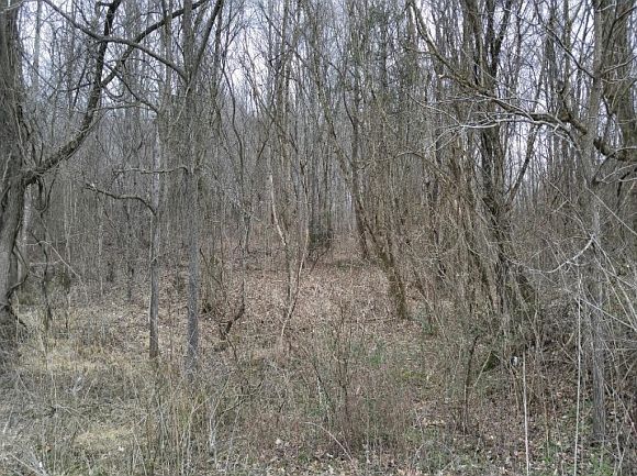 2nd image of 118 Harmony Rd