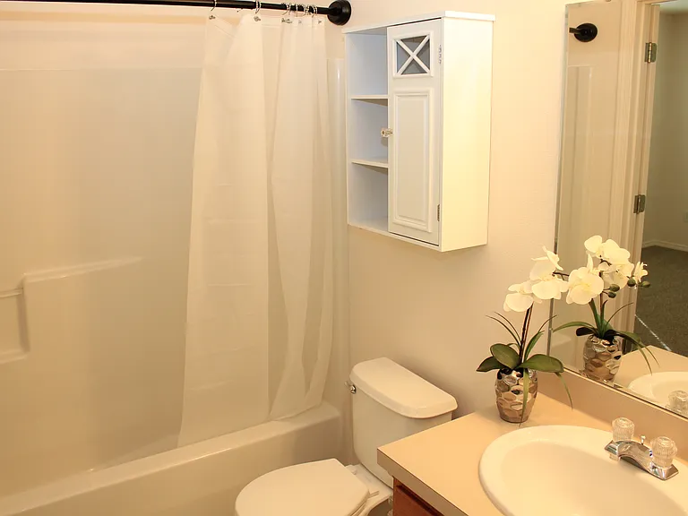 Guest Bath With Curved Shower Rod, New Large Shower Head, Shower Caddy, Shower Liner & Storage Cabinet.