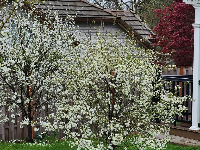 450 NW Pacific Grove Dr — Photo 18