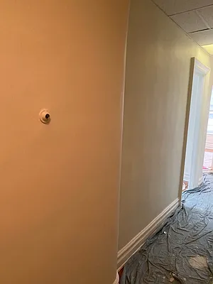 Rented by Virtual Real Estate | media 4